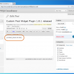 custom-post-widget-screenshot-3